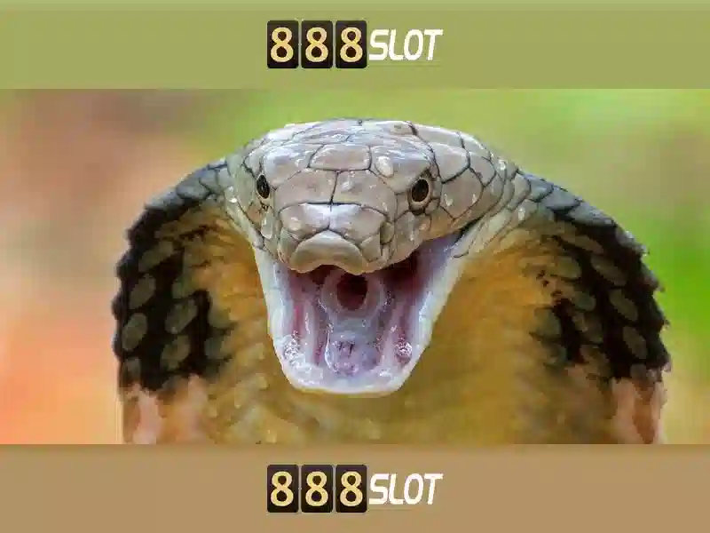 bingo slot 888 – Tổng quan và Giá trị cốt lõi