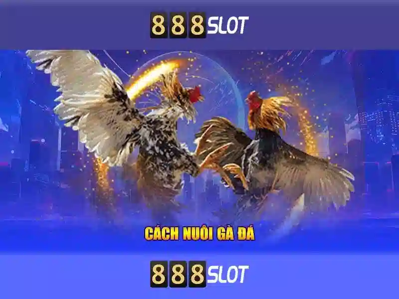 Khám phá 888slot: Nền tảng slot trực tuyến hàng đầu Soi kèo hiệp 1