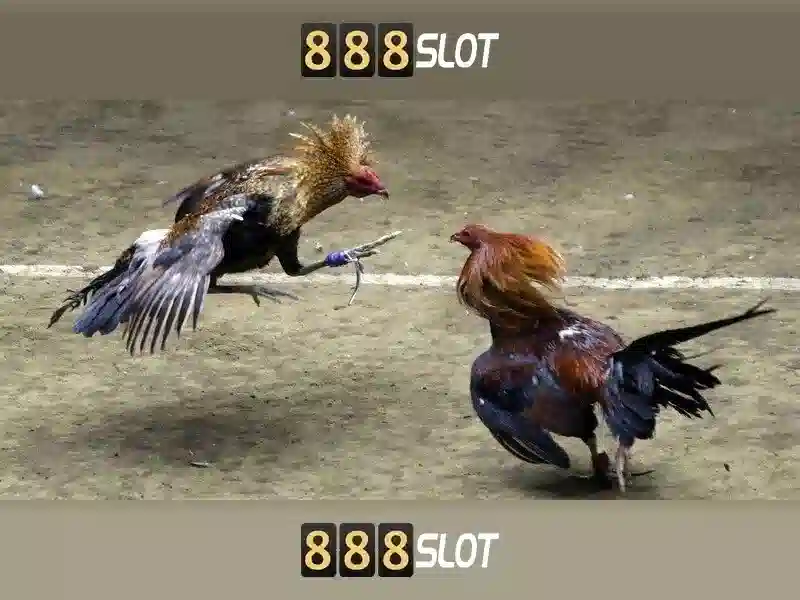 Giới thiệu về 888slot Giới thiệu về 888slot