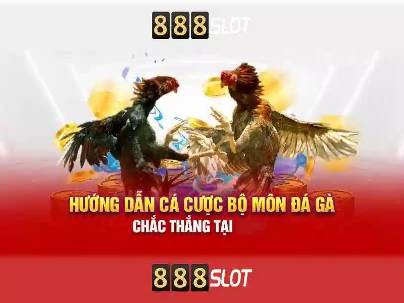 Cảm nhận của người chơi Cảm nhận của người chơi