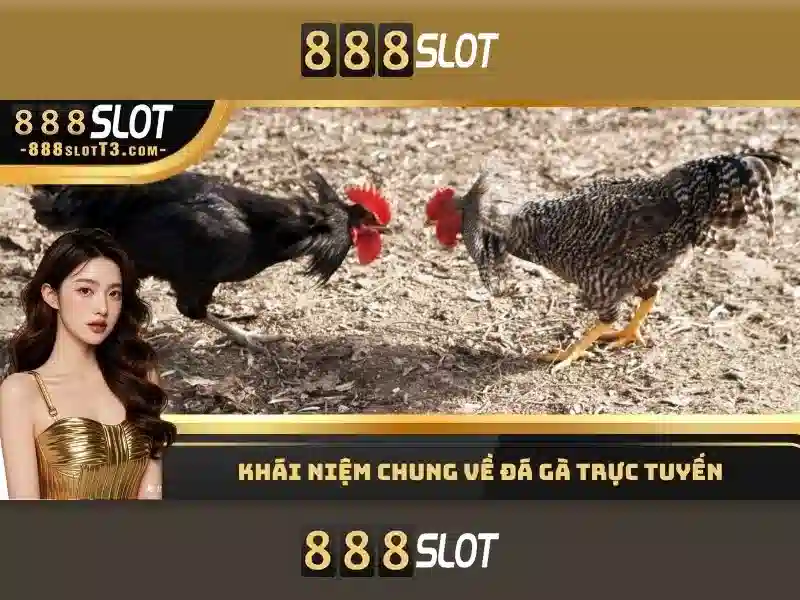 Khuyến mãi và thanh toán
