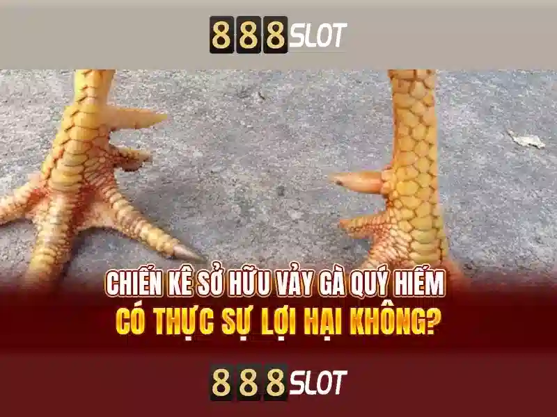 Khuyến mãi và chương trình thưởng tại 888slot Khuyến mãi và chương trình thưởng tại 888slot