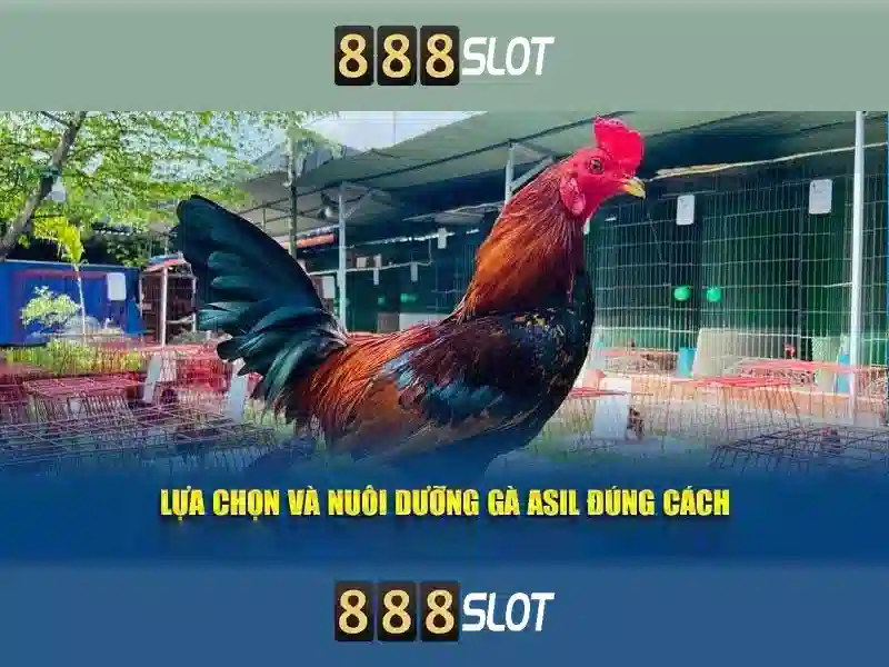 Soi kèo hiệp 1