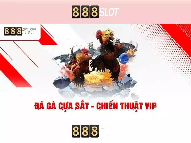 slot 888 bet login – Sản phẩm và dịch vụ cốt lõi