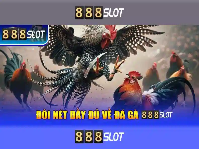 Giới thiệu về 888slot