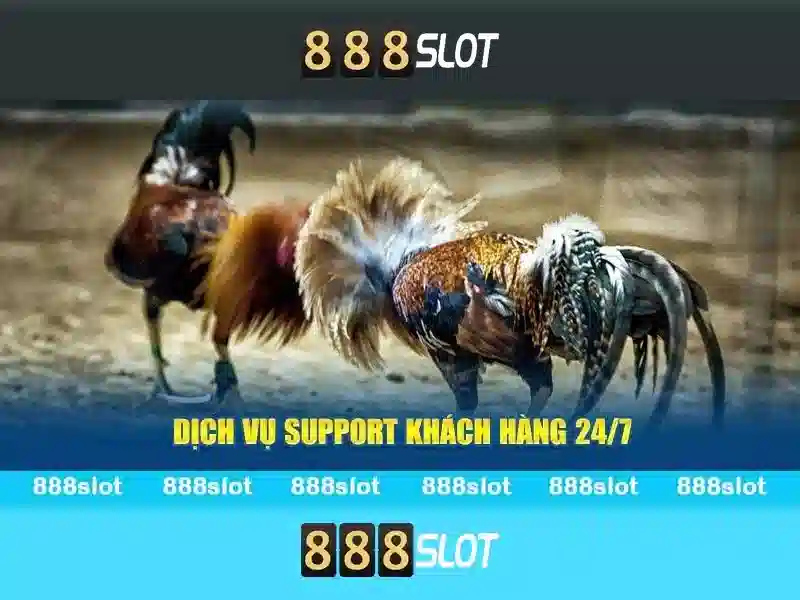 888slot - Trải nghiệm chơi slot tuyệt vời 888slot - Trải nghiệm chơi slot tuyệt vời