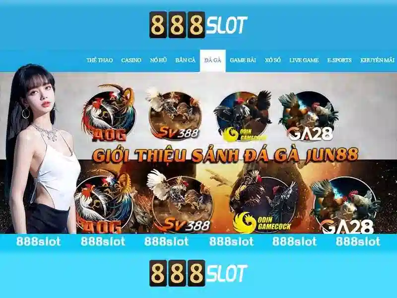 Hỗ trợ khách hàng Hỗ trợ khách hàng