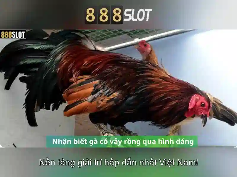slot vincenti 888 – Tổng quan chủ đề và giá trị cốt lõi