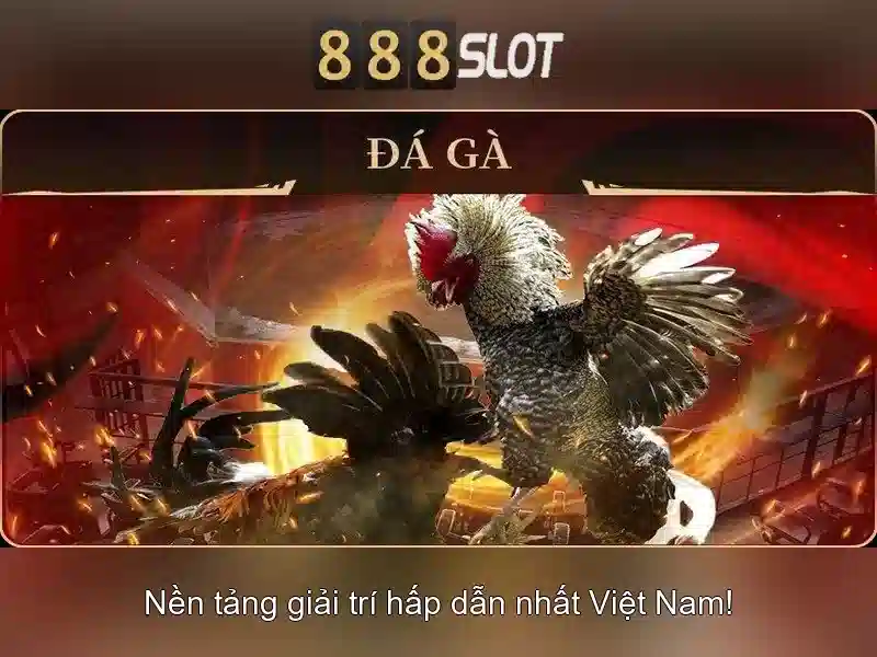 Khuyến mãi và thanh toán Khuyến mãi và thanh toán