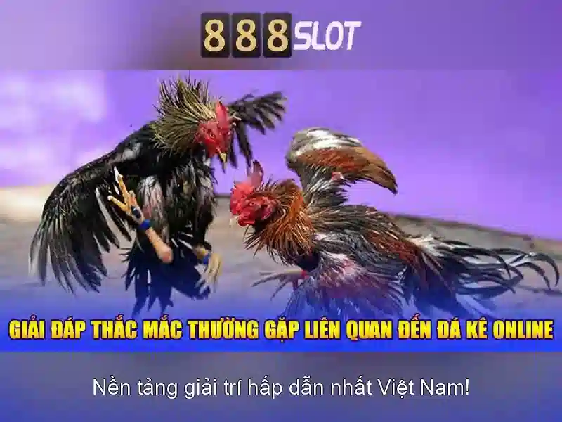Cách nạp tiền và rút tiền Cách nạp tiền và rút tiền