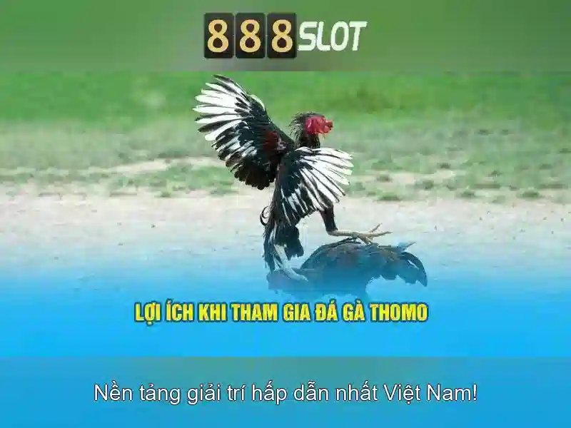 888slot: Đánh giá nền tảng casino trực tuyến phổ biến 1 Đăng Nhập