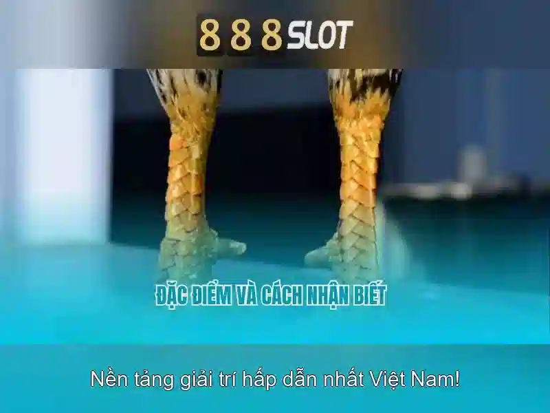 An toàn và thanh toán