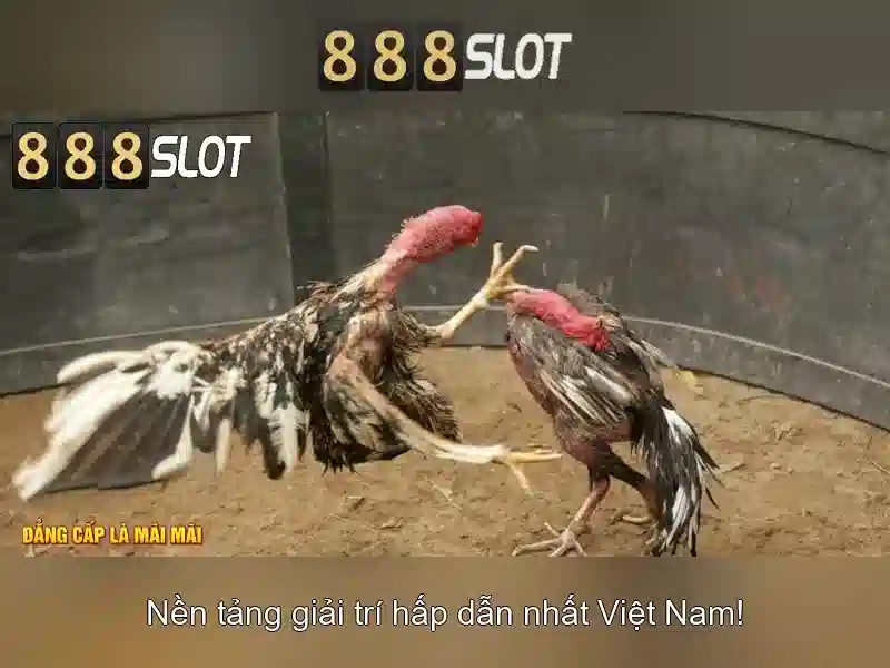 Soi kèo hiệp 1