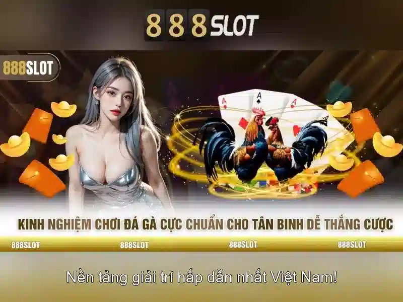 Sản phẩm và dịch vụ trọng tâm: ứng dụng thực tế của slot vincenti 888