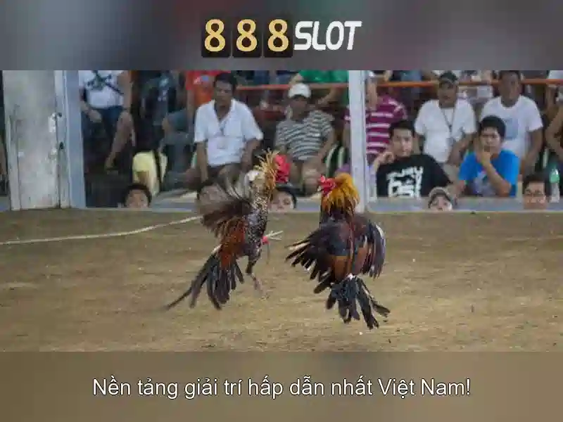 Soi kèo hiệp 1