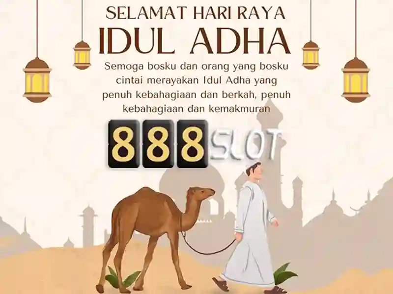 Phan hoi cua nguoi dung Phan hoi cua nguoi dung